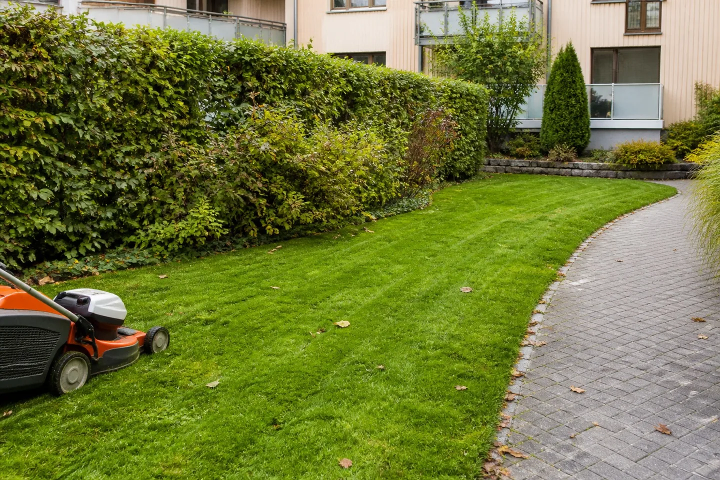 Gepflegte Rasenfläche mit geschnittener Hecke und sauberem Weg