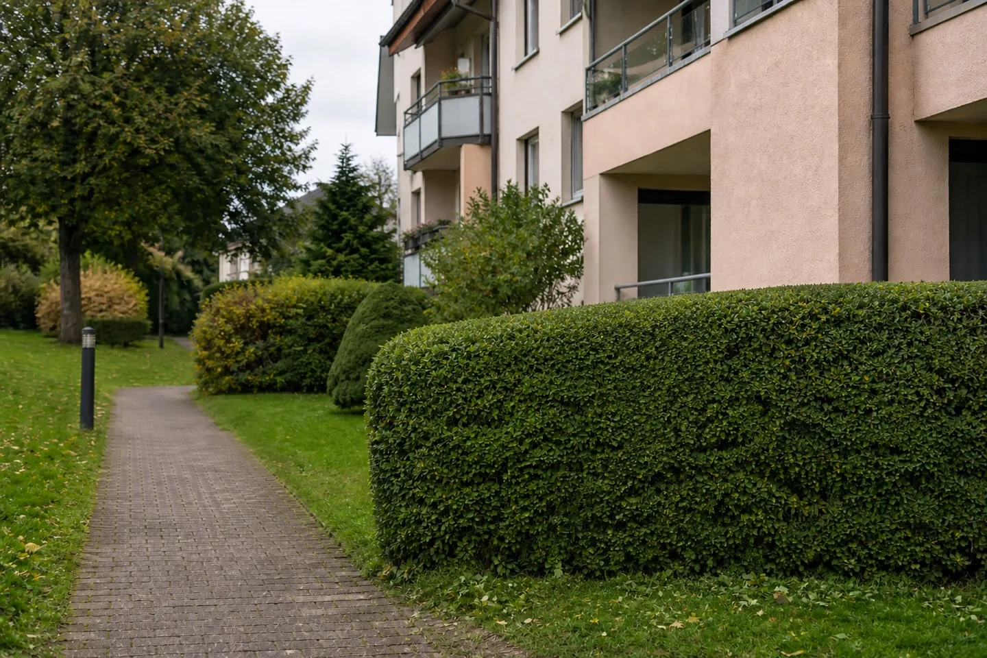 Gepflegter Aussenbereich einer Wohnliegenschaft mit geschnittener Hecke und sauberem Weg